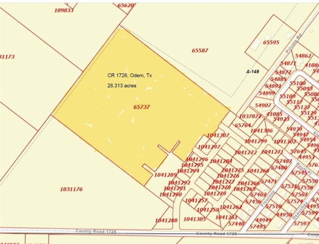 0 County Road 1726, Odem TX, 78370 land for sale