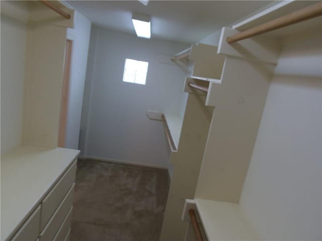 425 Seco Dr, Portland, TX 78374 - walk in closet featuring carpet flooring