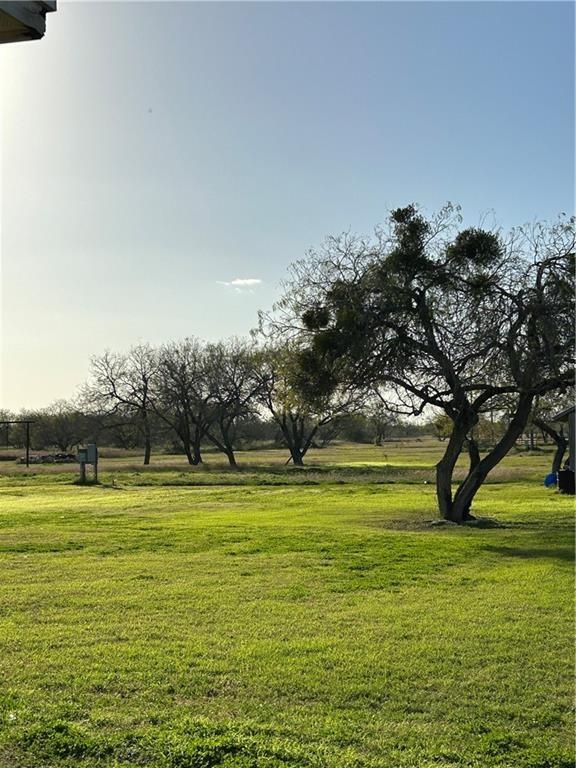 view of home's community with a yard