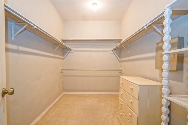 walk in closet with light colored carpet