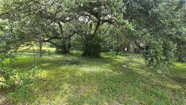 448 Old River Rd, Palacios, TX 77465 - photo 2