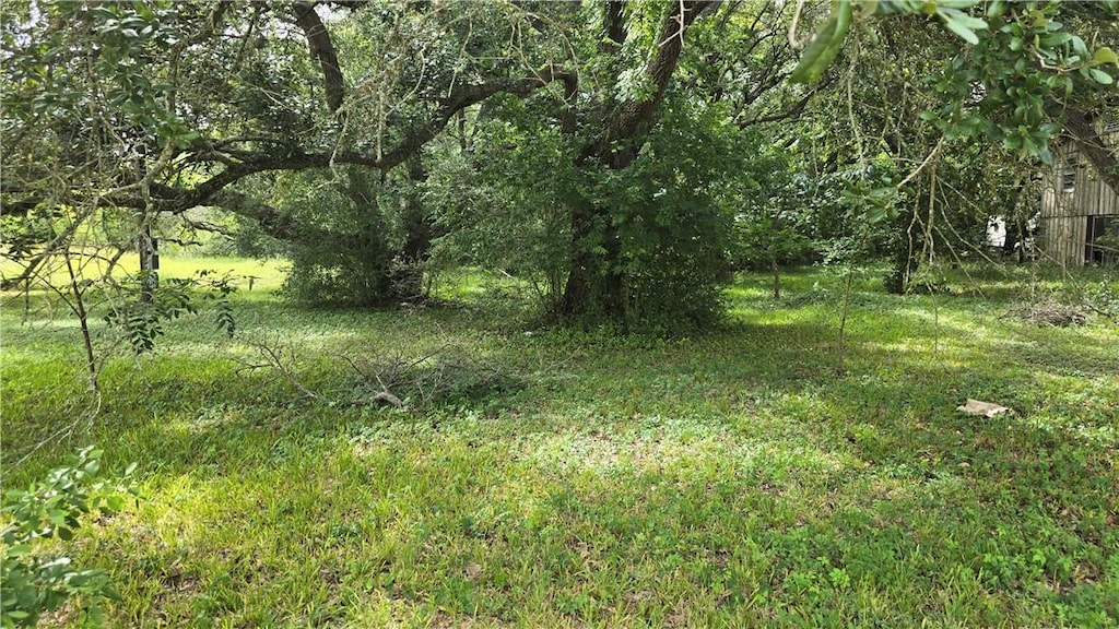 448 Old River Rd, Palacios, TX 77465 - photo 3