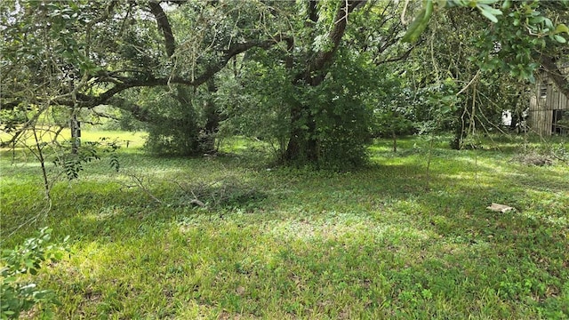 448 Old River Rd, Palacios, TX 77465 - photo 3