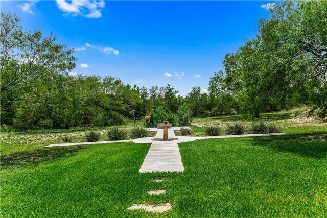 417 House Ave, Sandia, TX 78383 - photo 33