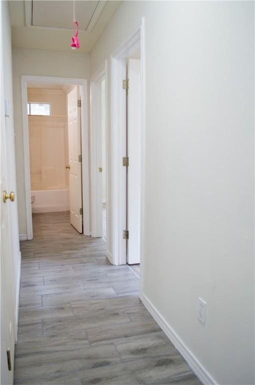 6333 Penny Ln, Corpus Christi, TX 78414 - hall with light wood-type flooring and baseboards