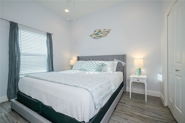 bedroom with dark hardwood / wood-style floors and a closet