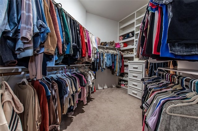 walk in closet featuring light colored carpet