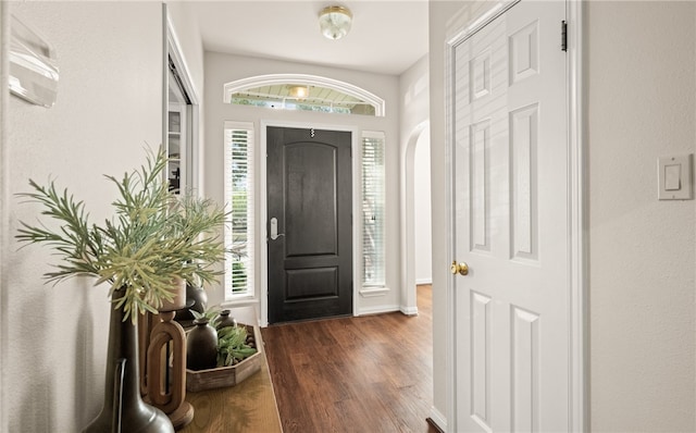 foyer entrance with plenty of natural light and dark hardwood / wood-style flooring