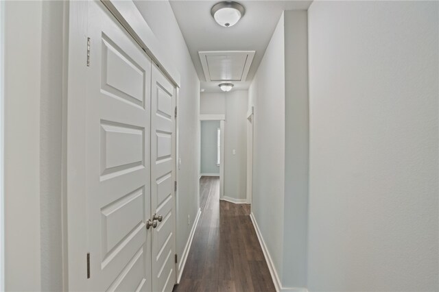 hall with dark hardwood / wood-style flooring