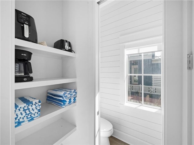 bathroom featuring toilet and a wealth of natural light