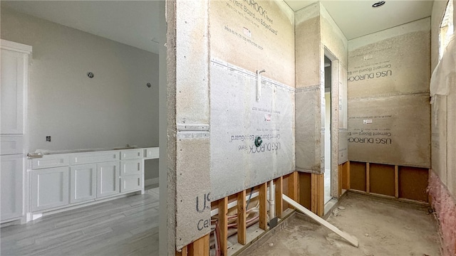 bathroom featuring wood-type flooring