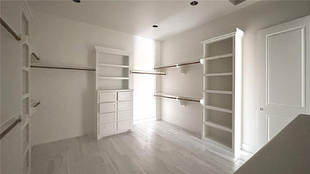 4033 Ranch Lake Dr, Corpus Christi, TX 78413 - spacious closet featuring light wood-type flooring
