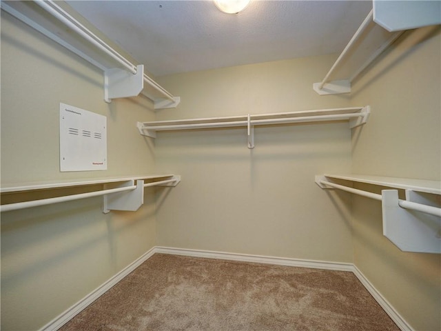 14422 Verdemar Dr, Corpus Christi, TX 78418 - spacious closet with carpet
