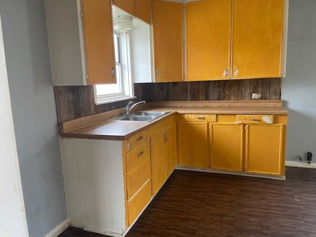 kitchen featuring sink and dark hardwood / wood-style flooring