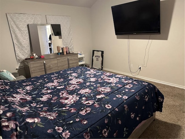 bedroom featuring carpet