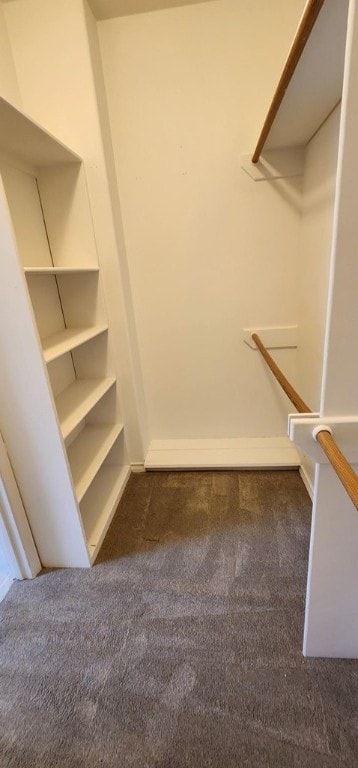 walk in closet featuring dark carpet