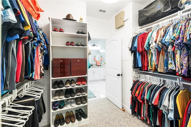 walk in closet with light colored carpet