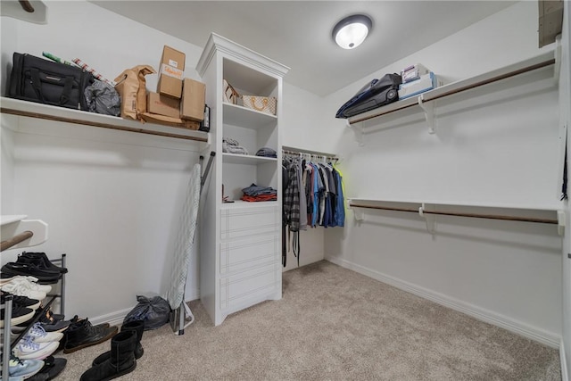 walk in closet featuring light colored carpet