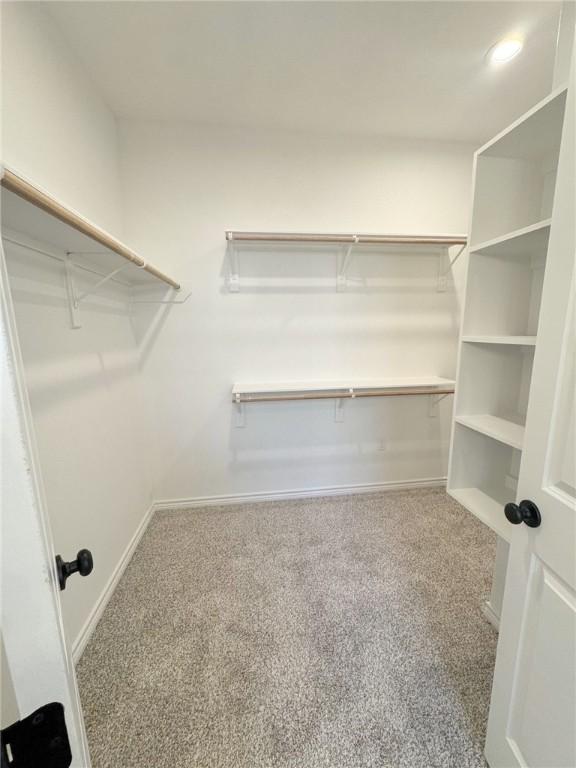 walk in closet with carpet