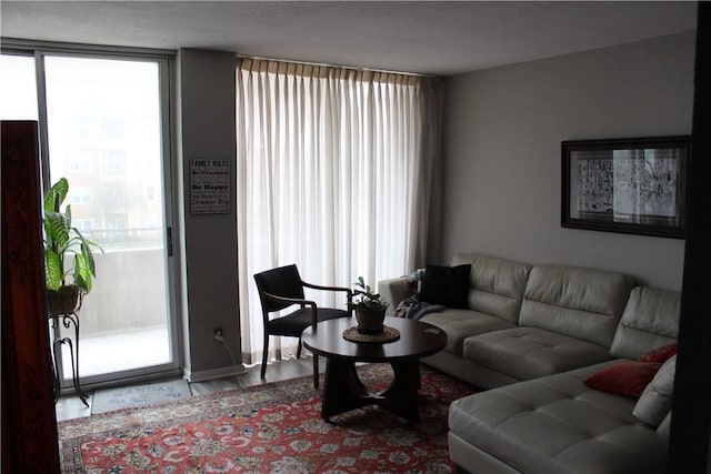 living room featuring light hardwood / wood-style flooring and expansive windows