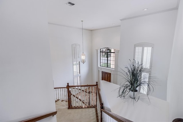 stairs with carpet flooring and crown molding