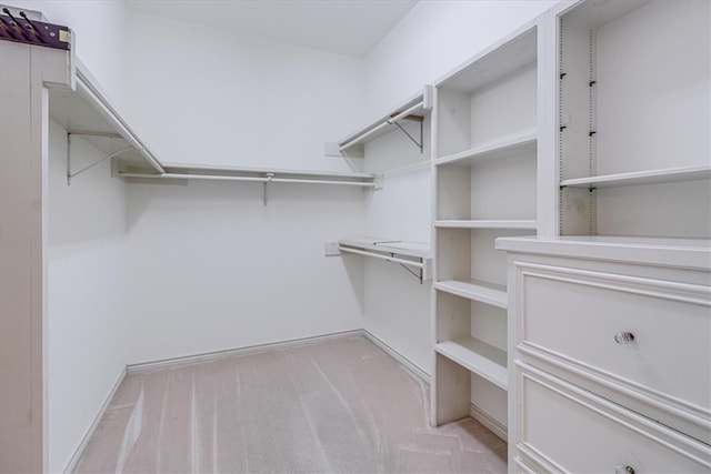 spacious closet with light carpet