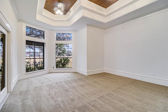 carpeted spare room with ornamental molding and a tray ceiling