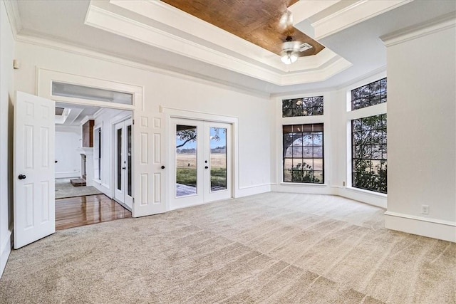 unfurnished room with ornamental molding, a raised ceiling, a healthy amount of sunlight, and carpet