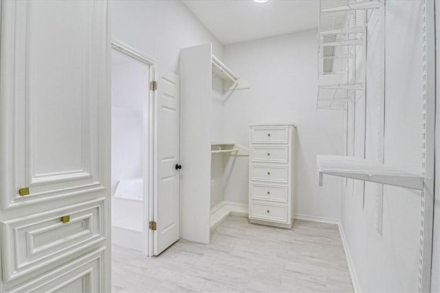 walk in closet featuring light hardwood / wood-style floors