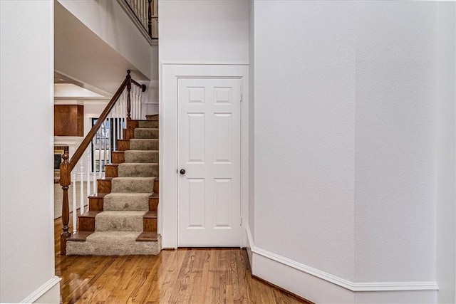 staircase with hardwood / wood-style flooring