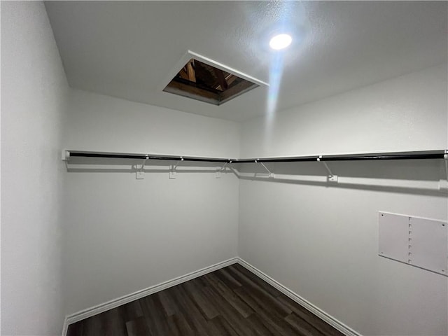 7201 Wilder Ln, Corpus Christi, TX 78414 - spacious closet featuring dark wood finished floors
