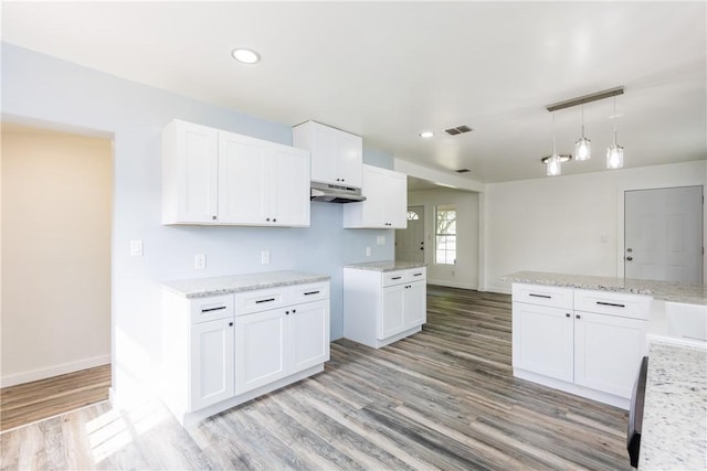 1336 Brentwood Dr, Corpus Christi, TX 78415 - kitchen featuring under cabinet range hood, light wood finished floors, white cabinetry, light stone countertops, and recessed lighting