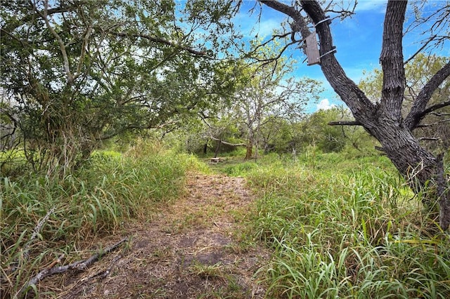 20051 Galway Dr, Mathis, TX 78368 - photo 27