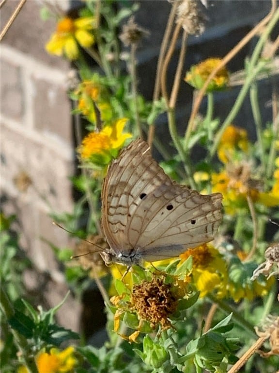 view of exterior details