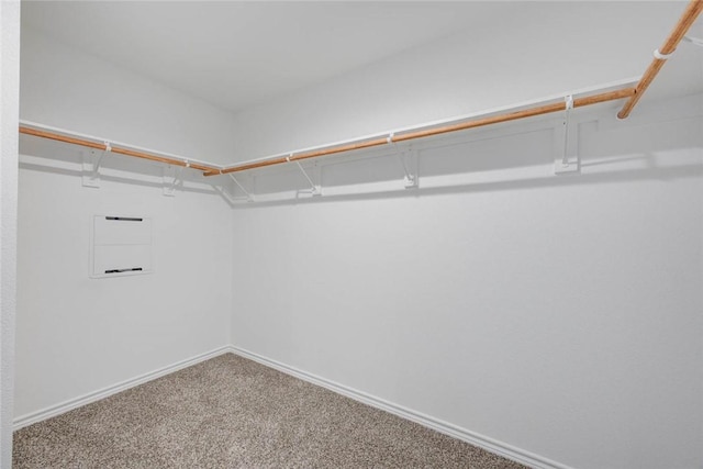 2721 Excelsior Blvd, Corpus Christi, TX 78415 - spacious closet featuring carpet