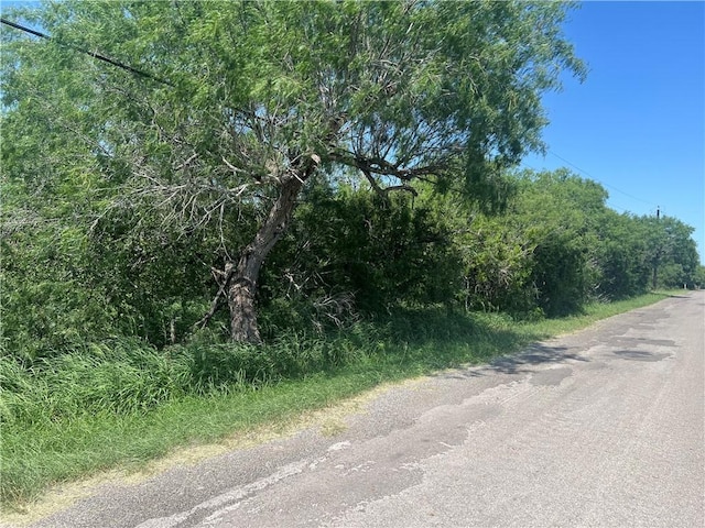 0A W County Road 2180, Kingsville, TX 78363 - photo 1