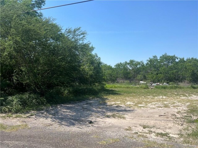 0A W County Road 2180, Kingsville, TX 78363 - photo 2