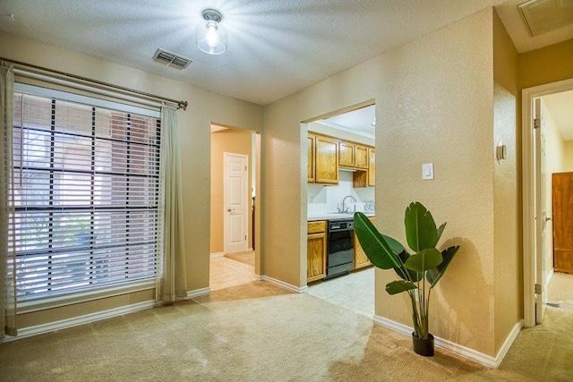 interior space with light carpet, visible vents, and a textured wall