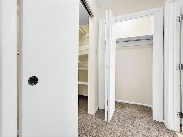 view of closet