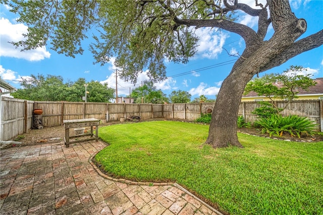 view of yard featuring a patio area