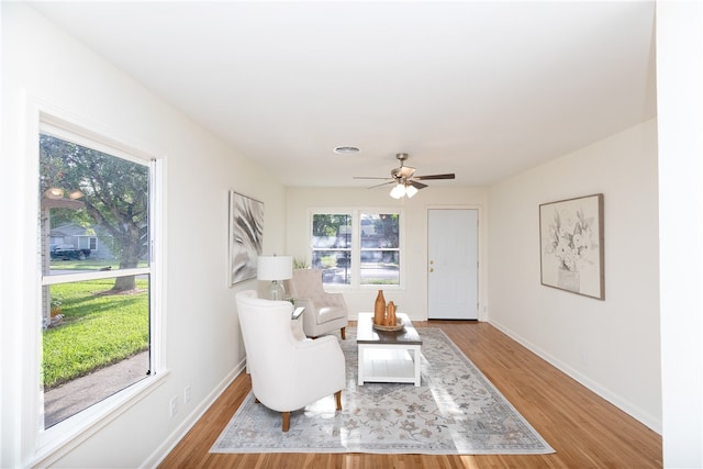 living area featuring a wealth of natural light, ceiling fan, and light hardwood / wood-style floors