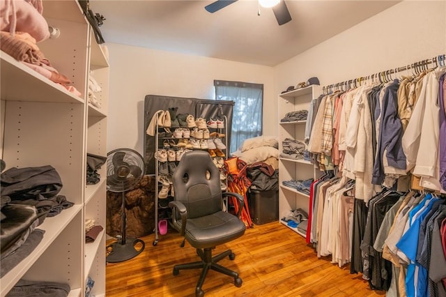 walk in closet featuring ceiling fan and light hardwood / wood-style flooring