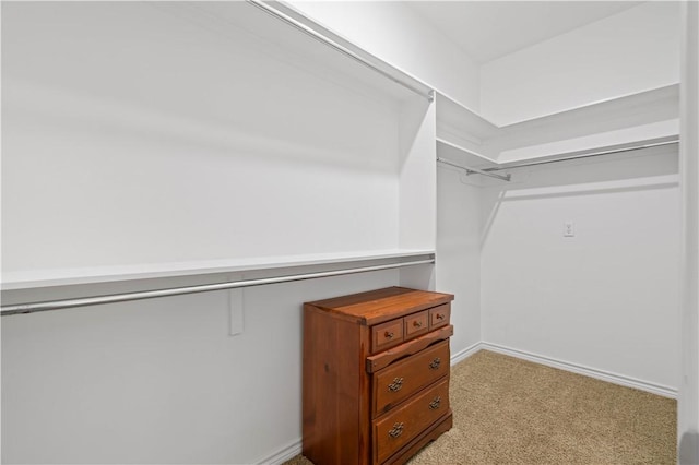 walk in closet with light carpet