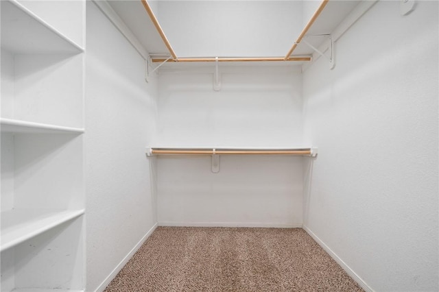 1116 Santa Catalina St, Portland, TX 78374 - spacious closet featuring carpet