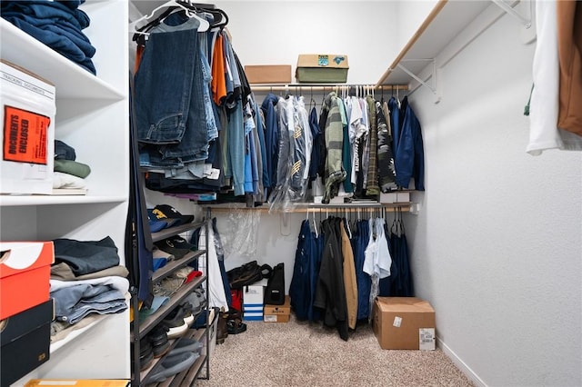 1116 Santa Catalina St, Portland, TX 78374 - spacious closet with carpet floors