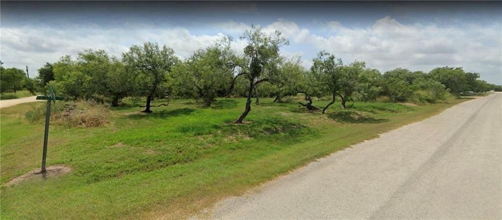 48ACRE County Road 694, Sinton, TX 78387 - photo 1
