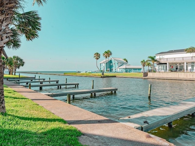 dock area with a water view