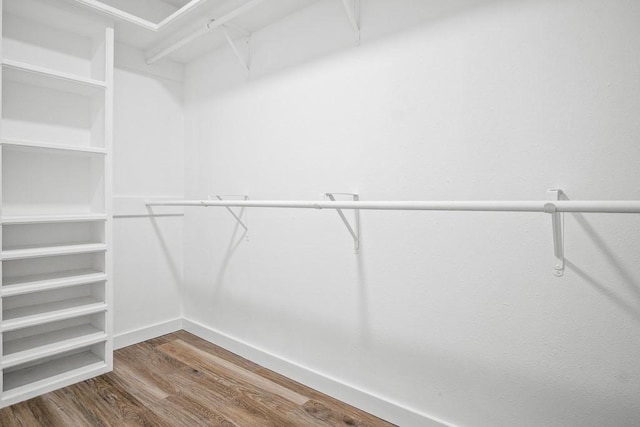 spacious closet featuring wood finished floors