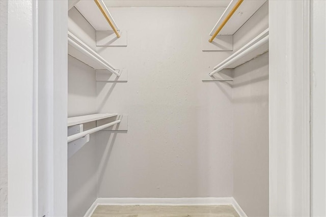 6701 Meadowbreeze Pkwy, Corpus Christi, TX 78414 - spacious closet with light wood-style floors