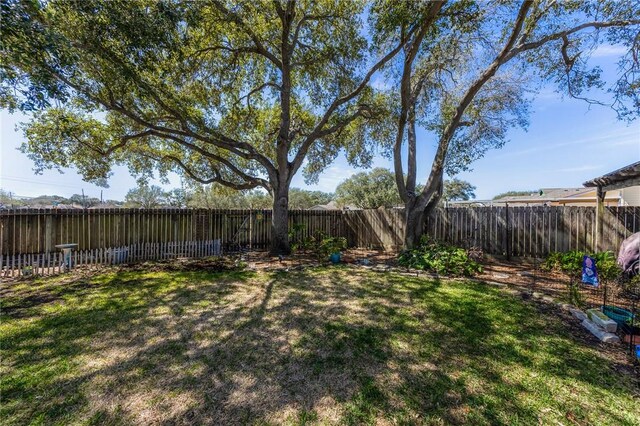 view of yard featuring a fenced backyard